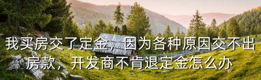 荊州購房交了定金不退怎么辦,我買房交了定金