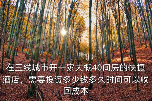河南開一家民宿價格是多少,那如果開一家民宿要多少錢