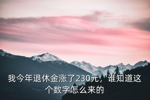 武漢市退休養(yǎng)老保險(xiǎn)今年怎么增長,在武漢市交了十五年養(yǎng)老保險(xiǎn)