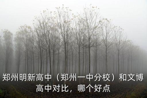 鄭州文博中學多少分,鄭州明新高中