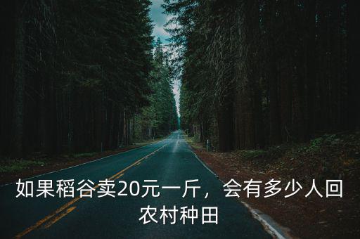 如果稻谷賣20元一斤，會(huì)有多少人回農(nóng)村種田