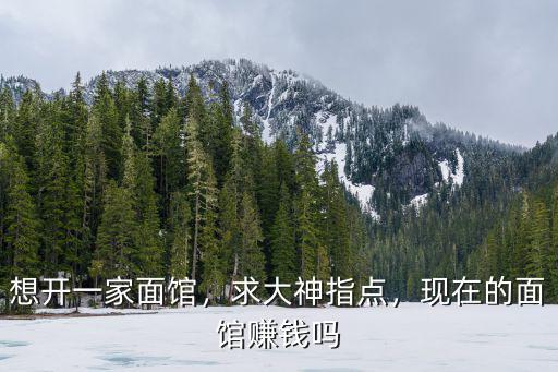 在南陽開家面館怎么樣,開家面館的利潤如何
