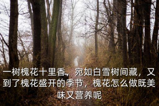 一樹槐花十里香，宛如白雪樹間藏，又到了槐花盛開的季節，槐花怎么做既美味又營養呢