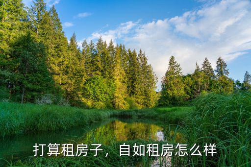 打算租房子，自如租房怎么樣