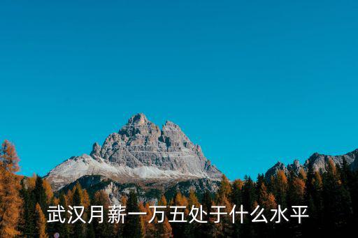 武漢月薪一萬怎么生活,武漢月薪1萬5