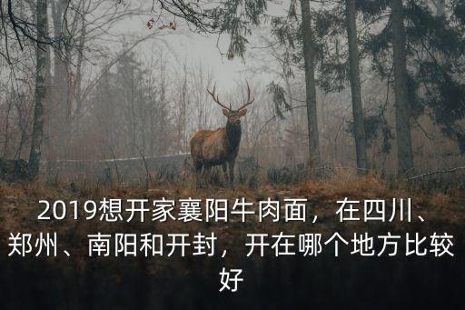 2019想開家襄陽牛肉面，在四川、鄭州、南陽和開封，開在哪個地方比較好
