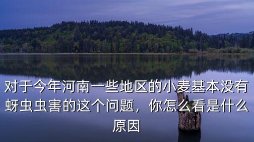 對于今年河南一些地區的小麥基本沒有蚜蟲蟲害的這個問題，你怎么看是什么原因