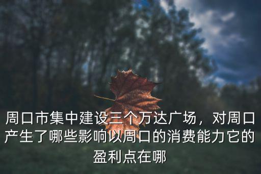 周口市集中建設三個萬達廣場，對周口產生了哪些影響以周口的消費能力它的盈利點在哪