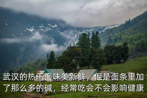 武漢堿面條怎么處理,武漢熱干面是堿水面條嗎