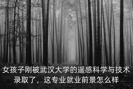 女孩子剛被武漢大學的遙感科學與技術錄取了，這專業就業前景怎么樣