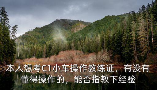 武漢教練怎么考駕校教練證,本人想考C1小車操作教練證
