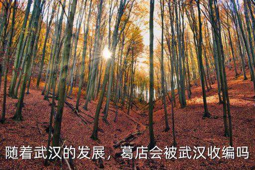 葛店不并入武漢發(fā)展怎么樣,隨著武漢的發(fā)展