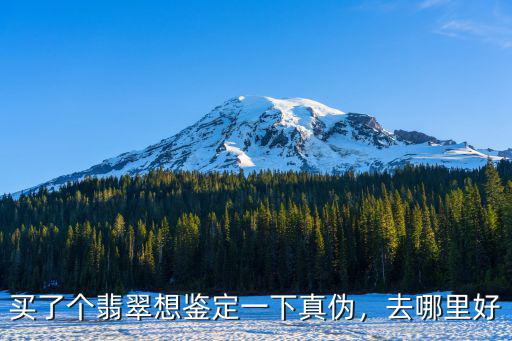 焦作去哪里鑒定翡翠,翡翠應該去什么地方鑒定