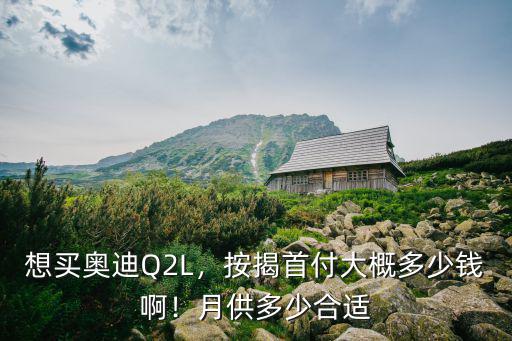 想買奧迪Q2L，按揭首付大概多少錢啊！月供多少合適