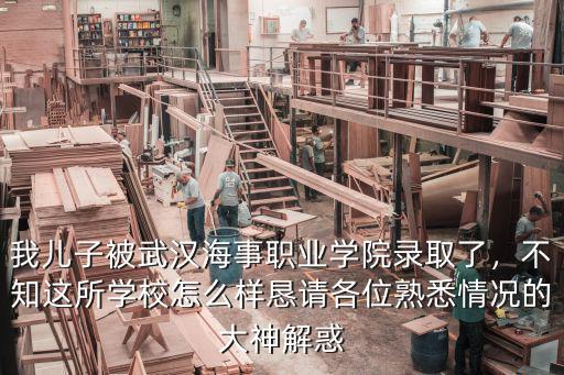 我兒子被武漢海事職業學院錄取了，不知這所學校怎么樣懇請各位熟悉情況的大神解惑