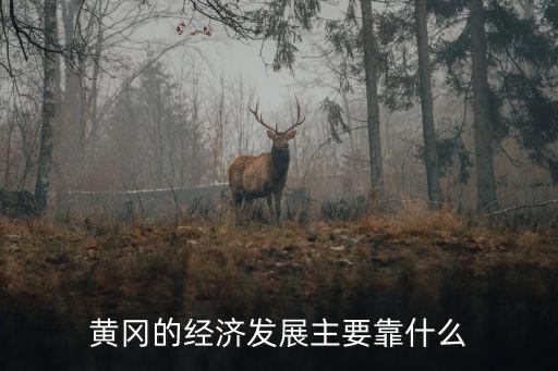 黃岡和深圳的經濟條件怎么樣,黃岡的經濟發展主要靠什么