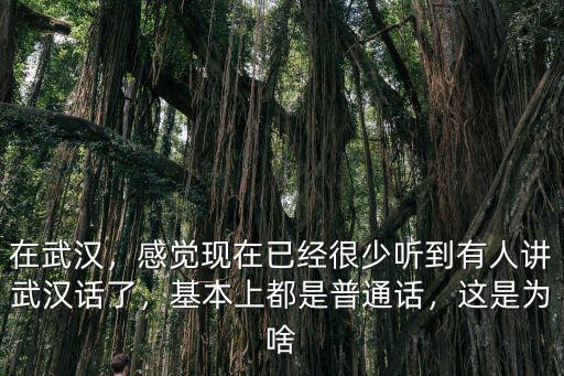 武漢本地人怎么稱呼,武漢本地人如何看待武漢
