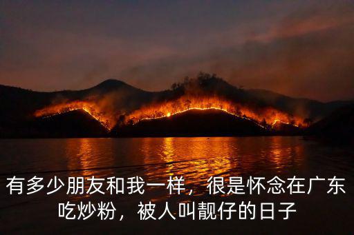 南陽哪里有廣東炒粉,很是懷念在廣東吃炒粉