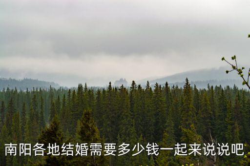 南陽各地結婚需要多少錢一起來說說吧