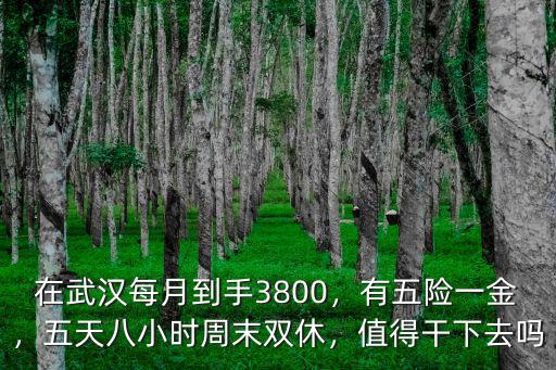 在武漢做的工作怎么樣,在武漢打工生活怎么樣