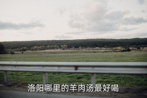 洛陽哪里的羊肉湯最好喝