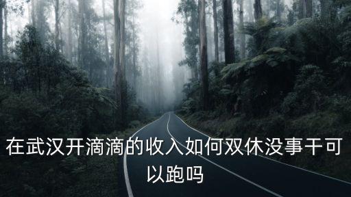 滴滴武漢分公司待遇怎么樣,現在在武漢開滴滴快車怎么樣
