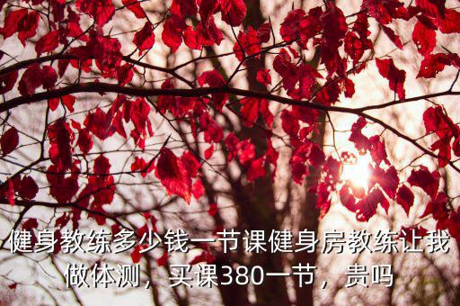 健身教練多少錢一節課健身房教練讓我做體測，買課380一節，貴嗎