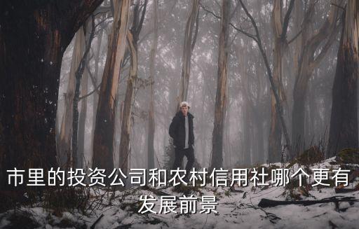 市里的投資公司和農村信用社哪個更有發展前景