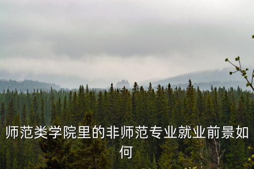 師范類學院里的非師范專業就業前景如何
