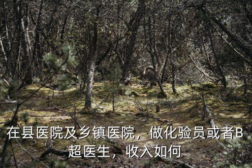 在縣醫院及鄉鎮醫院，做化驗員或者B超醫生，收入如何