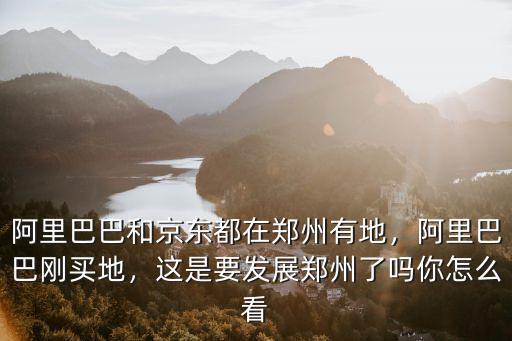 阿里巴巴和京東都在鄭州有地，阿里巴巴剛買地，這是要發展鄭州了嗎你怎么看