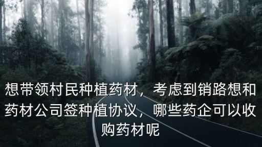 想帶領村民種植藥材，考慮到銷路想和藥材公司簽種植協議，哪些藥企可以收購藥材呢