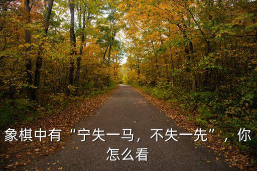 象棋一馬困荊州怎么走,象棋里飛刀怎么走