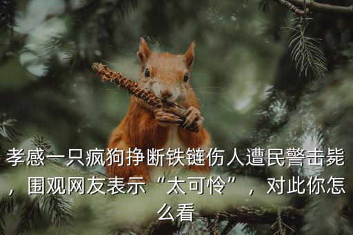 怎么形容湖北孝感,湖北孝感是一座怎樣的城市