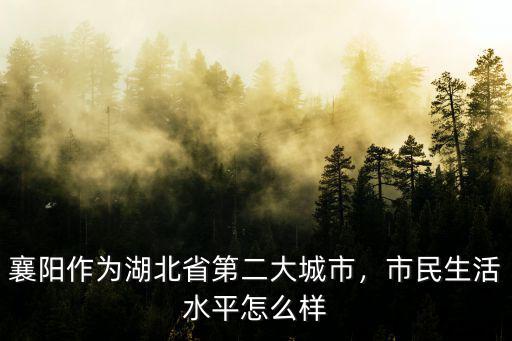 襄陽作為湖北省第二大城市，市民生活水平怎么樣