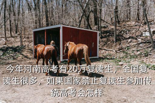 今年河南高考有20萬復讀生，全國復讀生很多，如果國家禁止復讀生參加傳統高考會怎樣
