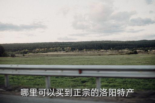 哪里可以買到正宗的洛陽特產