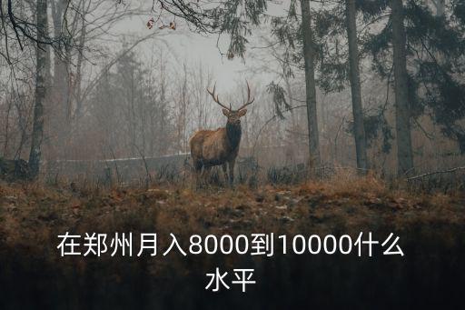 在鄭州一年十萬怎么樣,在鄭州和媳婦一年收入20萬