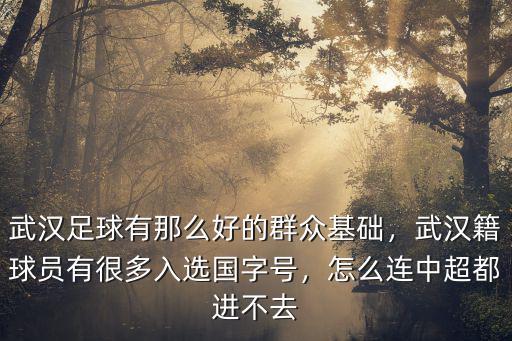 武漢的小學足球怎么樣,武漢足球有那么好的群眾基礎