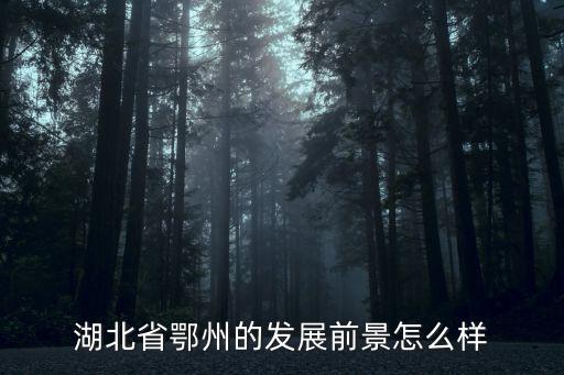 湖北省鄂州的發展前景怎么樣
