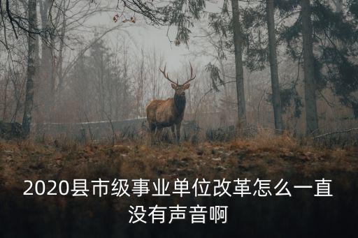 2020縣市級(jí)事業(yè)單位改革怎么一直沒(méi)有聲音啊