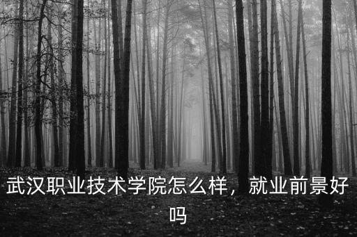 武漢職業(yè)技術(shù)學(xué)院怎么樣，就業(yè)前景好嗎
