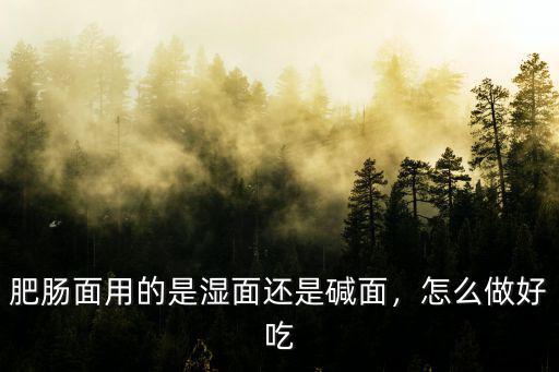 肥腸面用的是濕面還是堿面，怎么做好吃