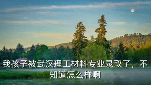 武漢理工大類招生怎么分專業,材料類專業怎么樣