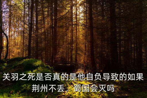 關(guān)羽不丟的荊州會怎么樣,如果荊州不丟