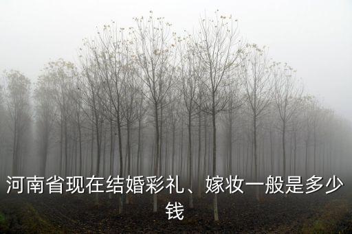 河南省現(xiàn)在結(jié)婚彩禮、嫁妝一般是多少錢