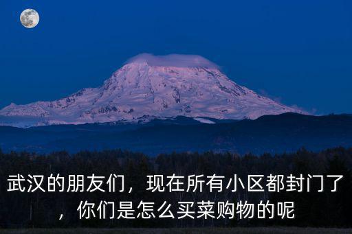 武漢的朋友們，現(xiàn)在所有小區(qū)都封門了，你們是怎么買菜購物的呢