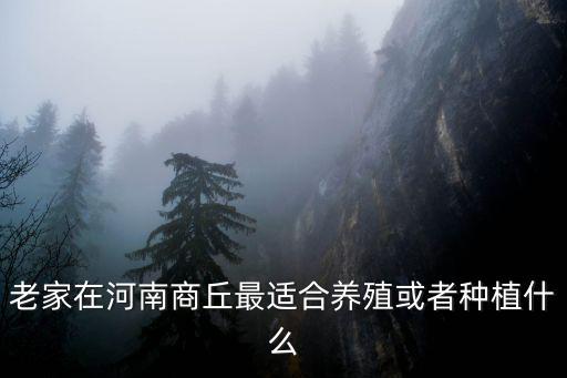 老家在河南商丘最適合養(yǎng)殖或者種植什么