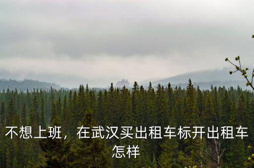 不想上班，在武漢買出租車標開出租車怎樣