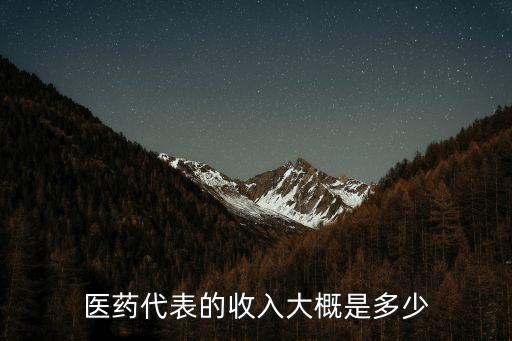 武漢匯海醫藥代表怎么樣,醫藥代表工作怎么樣